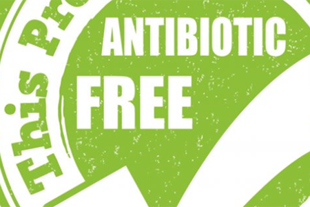 anco-antibiotic-free