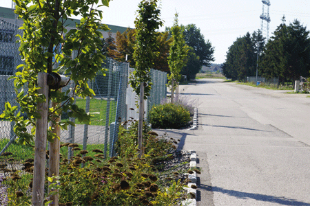 draingarden nussdorf