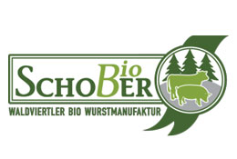 bio-schober-logo